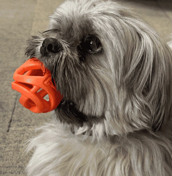 Instagram post van woefiededraak