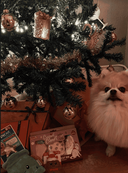 Instagram post van pip374