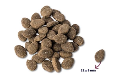 Renske Super Premium Adult Lam Graanvrij Hypoallergeen 12 KG
