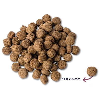 Renske Super Premium Adult Oceaanvis Hypoallergeen 12 KG