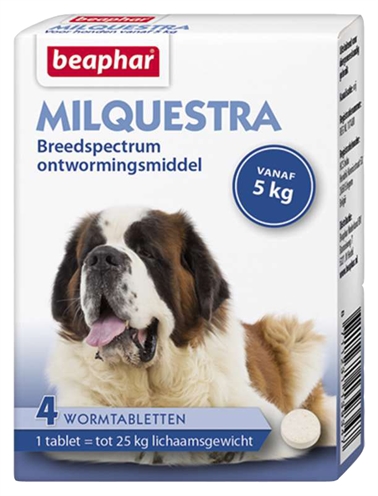 Beaphar Milquestra Hond 4 Tbl