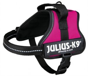 Julius K9 Power-harnas / Tuig Voor Labels Fuchsia Minimini/40-53 CM