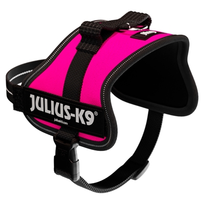 Julius K9 Power-harnas / Tuig Voor Labels Fuchsia Minimini/40-53 CM