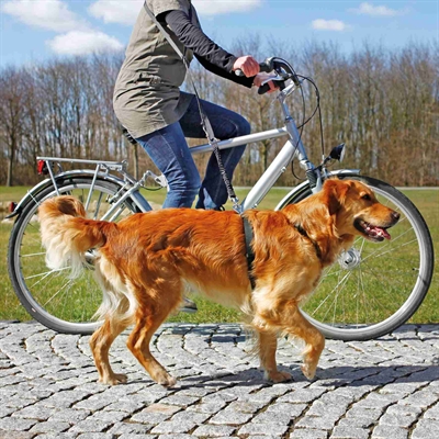 Trixie Fietslijn / Jogginglijn Zwart 100-200x2,5 CM