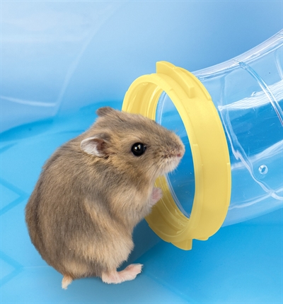 Imac Hamsterkooi Fantasy 58x38x38,5 CM