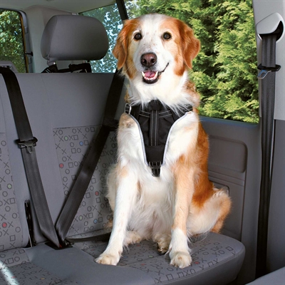 Trixie Hondentuig Auto Dog Protect Zwart 65-80x2,5 CM