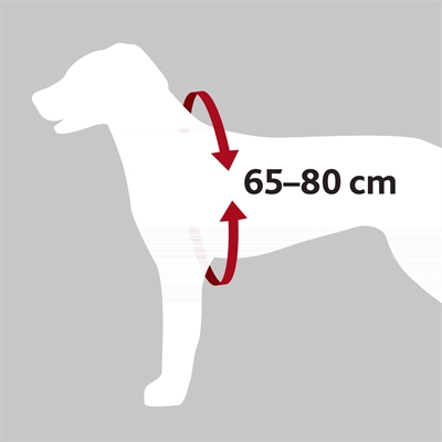 Trixie Hondentuig Auto Dog Protect Zwart 50-65x2 CM