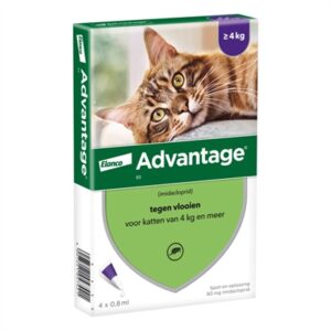 Elanco Advantage Kat 80 Vanaf 4 KG 4 Pip