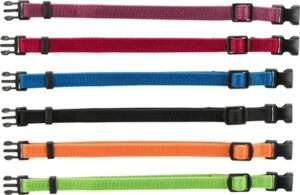 Trixie Puppy Halsband Set Zwart/rood/blauw/appel/papaya/orchidee 17-25 CM 6 ST