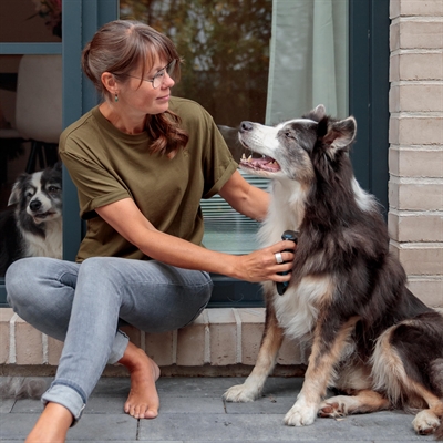 Trixie Carding Vachtkam Ontvilten / Uitdunnen 15x11 CM