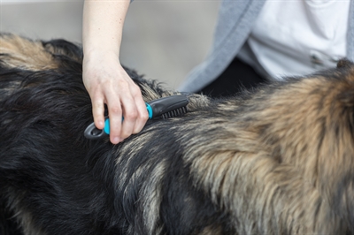 Trixie Vacht Ontvilter Gebogen Tanden 18 CM