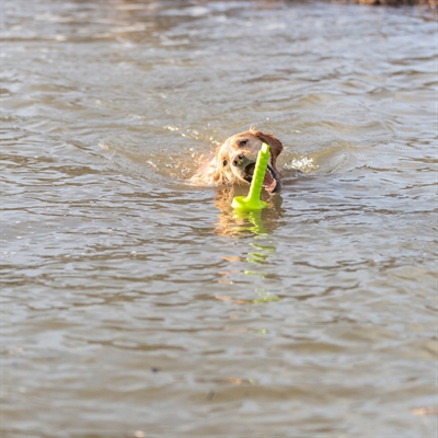 Trixie Dog Activity Mot-aqua Apporteer Dobber Limegroen 29 CM