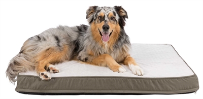 Trixie Vitaal Orthopedisch Kussen Taupe/Lichtgrijs 100x70 cm — Comfortabele slaapplek voor jouw hond