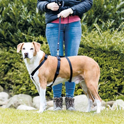 Trixie Hondentuig Stay Zwart L-xl 70-100 CM
