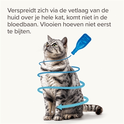 Beaphar Fiprotec Kat Vlooien & Teken 3+1 Pipet >1 KG 8 Weken