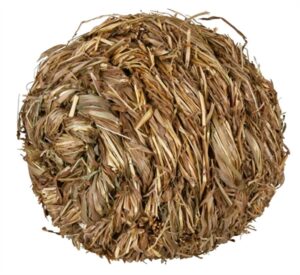 Trixie Grasbal Met Bel 10x10x10 CM