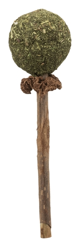 Trixie Matatabi Lolly Met Catnip 11 CM 4 ST