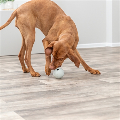 Trixie Snackbal Rubber Lime Groen 9 cm voor honden