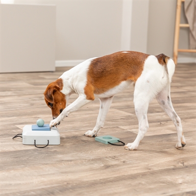 Trixie Dog Activity Gamble Box 15x15 CM