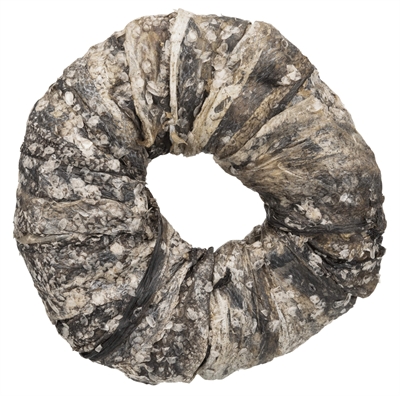 Trixie Denta Fun Kauwring Vis 10 CM 50 ST