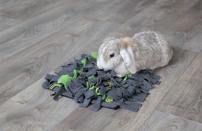 Trixie Snuffelmat Grijs / Groen 27x20 cm voor knagers