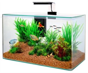 Zolux Aquarium Clear Kit Zwart 32 Ltr 50x25x38 CM