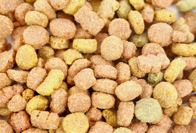 I Am Kattensnoep Rund 70 gram - Snacks voor katten