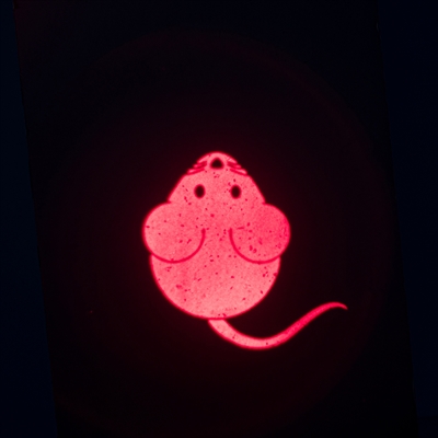 Trixie Laserspeelgoed Catch The Light Muis 8,5 cm USB Oplaadbaar 4 ST
