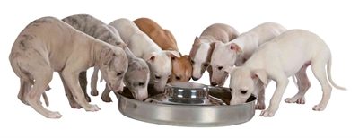 Trixie Junior Puppyvoerbak RVS 38 cm 4 Ltr