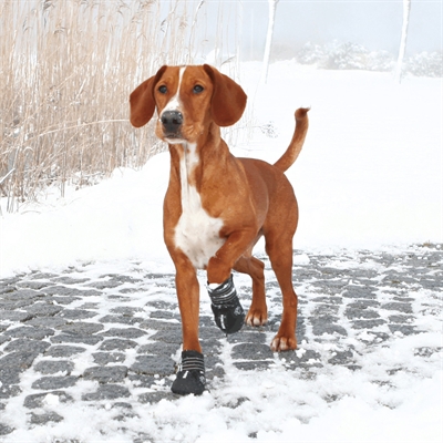Trixie Pootbescherming Walker Active Zwart M 2 stuks