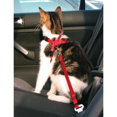 Trixie Kattentuig Auto Rood 20-50x1,5 CM