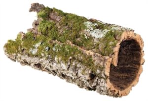 Trixie Reptiland Kurktunnel 75x30x30 CM 2 ST