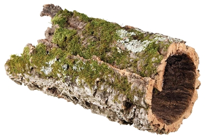 Trixie Reptiland Kurktunnel 75x30x30 CM 2 ST