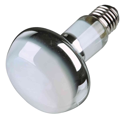 Trixie Reptiland Warmtelamp 100 Watt E27 8x8x10,8 CM