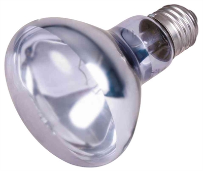 Trixie Reptiland Warmtelamp Neodymium 100W E27 3ST