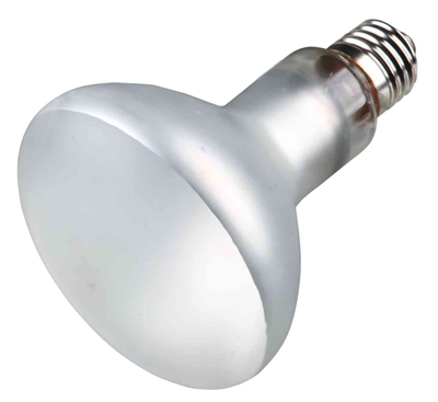Trixie Reptiland Prosun Mixed D3 UV-B Lamp 100 Watt