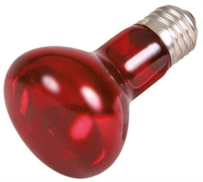 Trixie Reptiland Infrarood Warmtelamp 50 Watt 3 ST