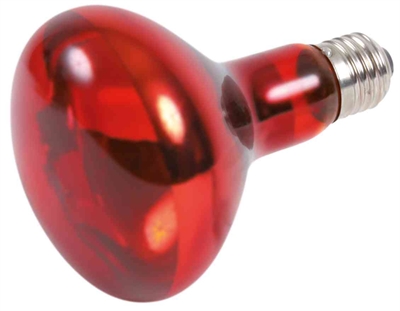Trixie Reptiland Infrarood Warmtelamp 100 Watt 3 ST