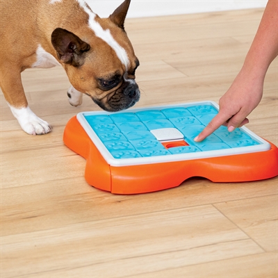 Nina Ottosson Challenge Slider Hond Oranje/Blauw 38x38x5 CM