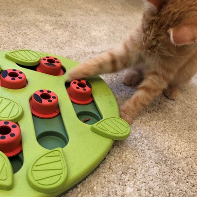 Nina Ottosson Puzzle & Play Buggin Out Groen 35x26x4 CM voor katten