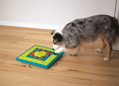 Nina Ottosson Multipuzzle Blu 38x38x5 cm voor honden