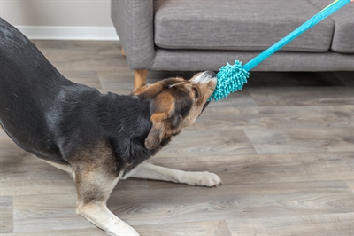 Trixie Bungee Dummy Polyester 47 cm met handvat en schokdemper