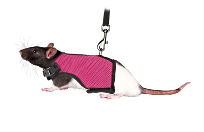 Trixie Softtuig Met Riem Voor Ratten 12-18x120 CM Assorti