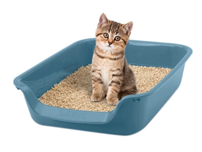 Savic Junior Kattenbak Blauw 56x39x13 cm met lage instap