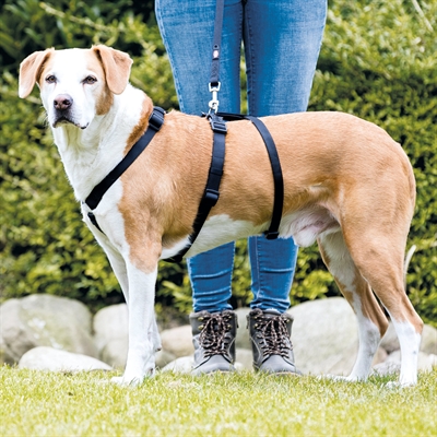 Trixie Hondentuig Stay Zwart 32-45 cm verstelbaar