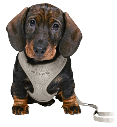 Trixie Junior Puppytuig met Riem Lichtgrijs 26-34 cm