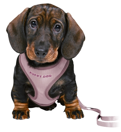 Trixie Junior Puppytuig met Riem Lila 26-34 cm