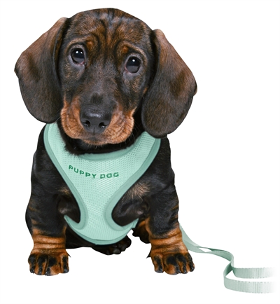 Trixie Junior Puppytuig Soft Mint met Riem 26-34x1 cm