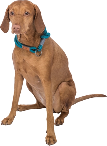 Trixie Halsband Hond Be Nordic Halfslip 35x0,6 cm Petrol/Lichtgrijs