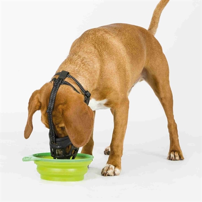 Trixie Muilkorf Muzzle Flex Silicone Zwart S 20x20 cm
